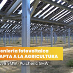 Villeneuve y Puicheric: ingeniería fotovoltaica para retos agrícolas complejos
